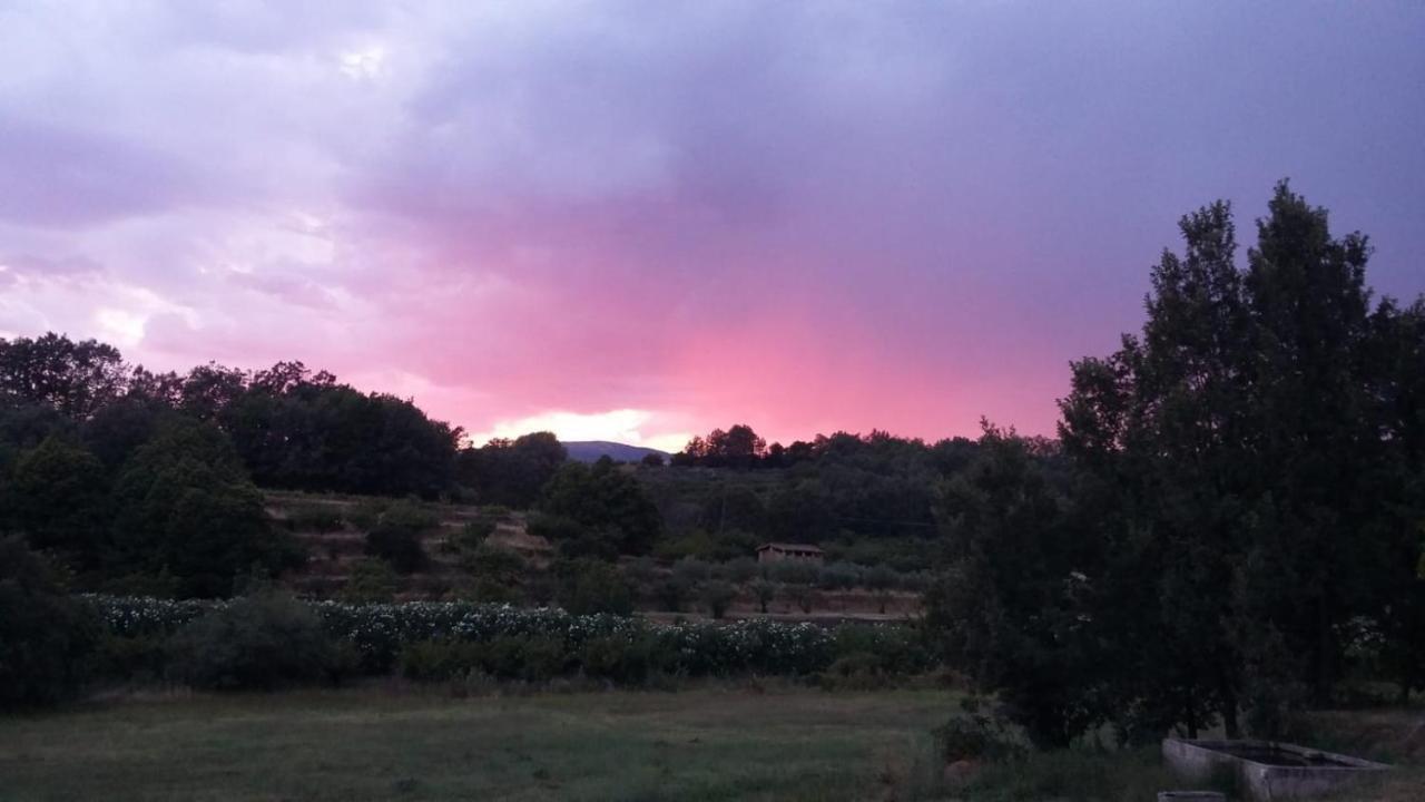 Casa Rural Colmenarejo กัวกอสเตยุสเต ภายนอก รูปภาพ